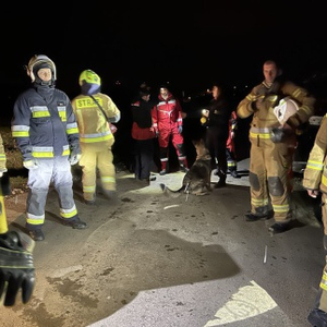 Poszukiwanie osoby w kompleksie leśnym przez służby.