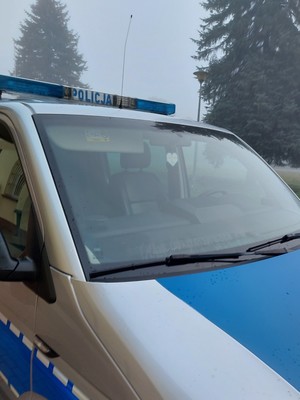 Oznakowany radiowóz. W tle drzewo. Pada deszcz.