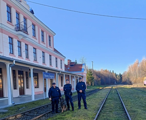 Policjanci wspólnie z funkcjonariuszami Straży Ochrony Kolei patrolujący teren dworca kolejowego oraz torowisk.