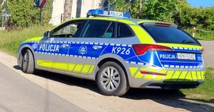Oznakowany radiowóz policyjny zaparkowany w miejscu do tego przeznaczonym. Obok widać trawnik.