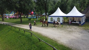 Zdjęcia zrobione podczas pikniku. Na fotografiach widać atrakcje, zjeżdżalnie, trampoliny oraz inne zabawy dla najmłodszych. Widać również uczestników pikniku.