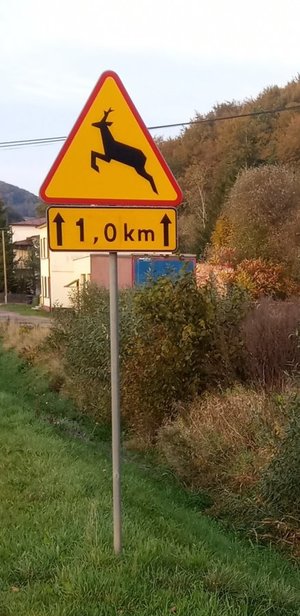 Znak drogowy pionowy Uwaga, dzikie zwierzęta. W tle widoczne zabudowania.