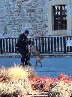 Współdziałanie służb w związku z ćwiczeniami, które odbywały się na terenie Zamku Królewskiego w Sanoku. Widać samochody straży pożarnej, policji, pogotowia ratunkowego oraz funkcjonariuszy realizujących zadania własne oraz wspólne.