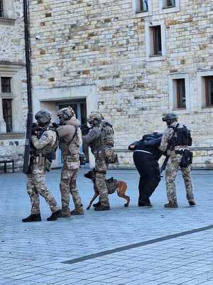 Współdziałanie służb w związku z ćwiczeniami, które odbywały się na terenie Zamku Królewskiego w Sanoku. Widać samochody straży pożarnej, policji, pogotowia ratunkowego oraz funkcjonariuszy realizujących zadania własne oraz wspólne.