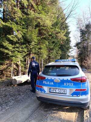 Na zdjęciu w centralnej części znajduje się oznakowany radiowóz. Radiowóz znajduje się na drodze leśnej. Obok radiowozu stoi umundurowany policjant. Po lewej stronie widać drzewa.