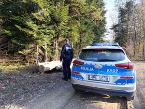 Na zdjęciu w centralnej części znajduje się oznakowany radiowóz. Radiowóz znajduje się na drodze leśnej. Obok radiowozu stoi umundurowany policjant. Po lewej stronie widać drzewa.