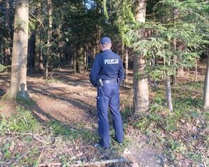 Na zdjęciu w centralnej części znajduje się umundurowany policjant. W tle stronie widać drzewa.