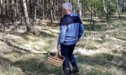 Grzybiarze - apelujemy o rozwagę!